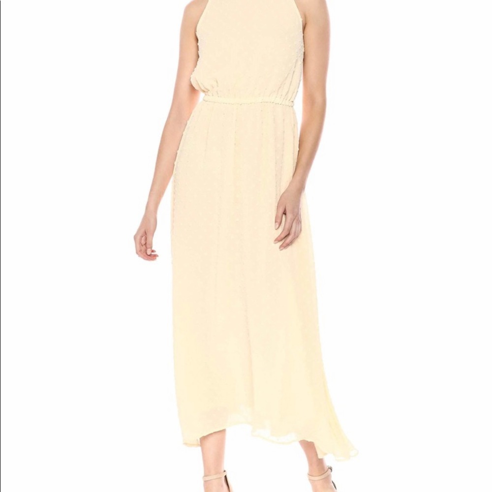 Rachel Pally Swiss Dot Dress